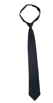 Picture of Police Style Hook n' Loop Neckties by Rothco®