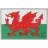 Picture of Welsh Flag PVC Patch 3" x 2" by Maxpedition®