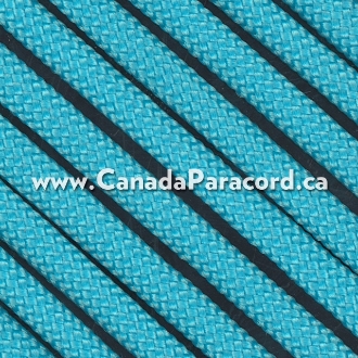 Neon Turquoise - 100 Feet - 550 LB Paracord